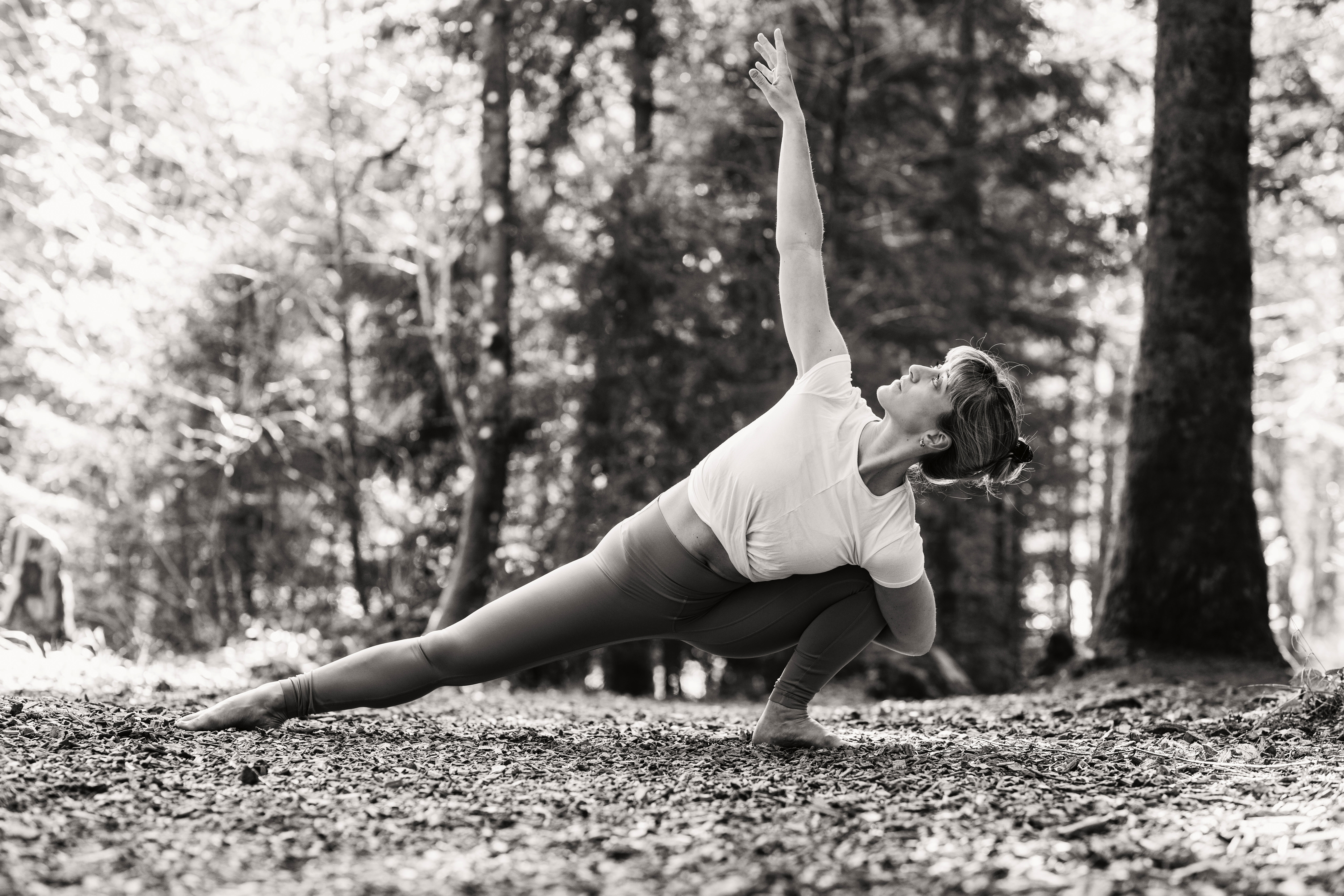 Advanced Asana Mandala Vinyasa